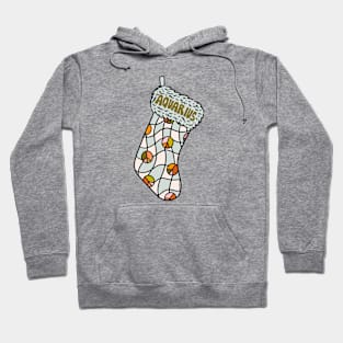 Aquarius Stocking Hoodie